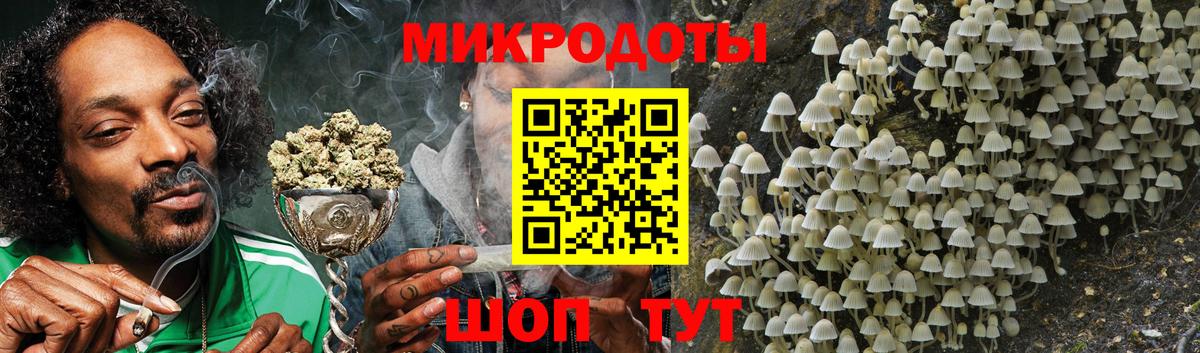 Галлюциногенные грибы GOLDEN TEACHER Кемерово